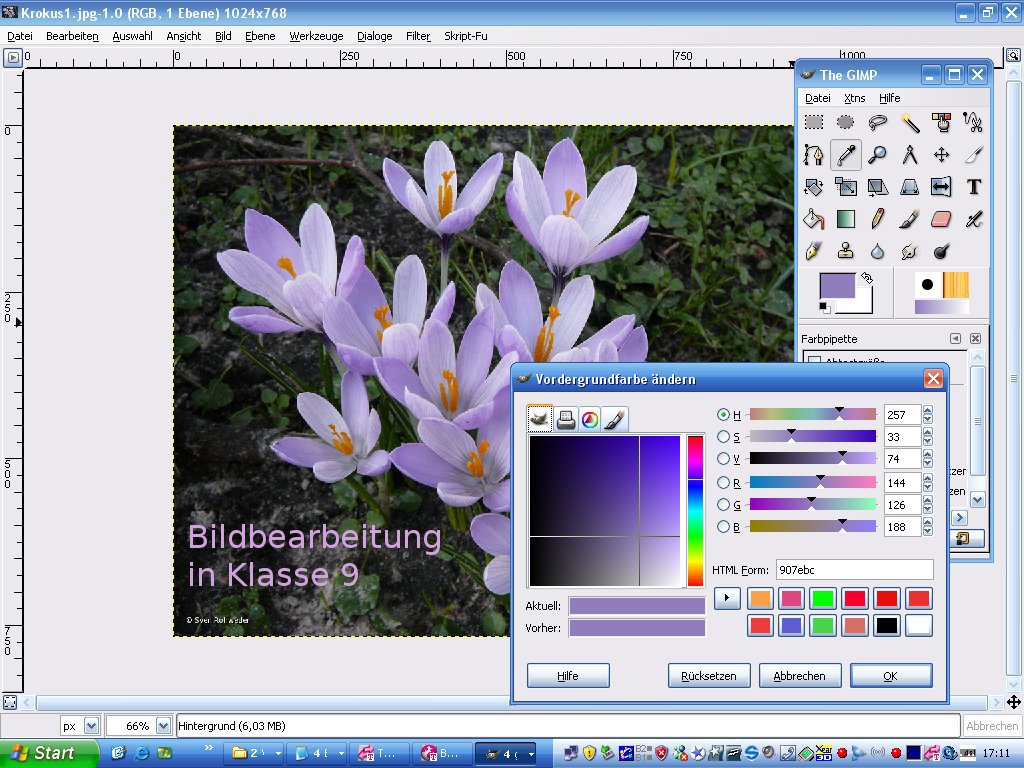 Profilorientierte informatische Bildung