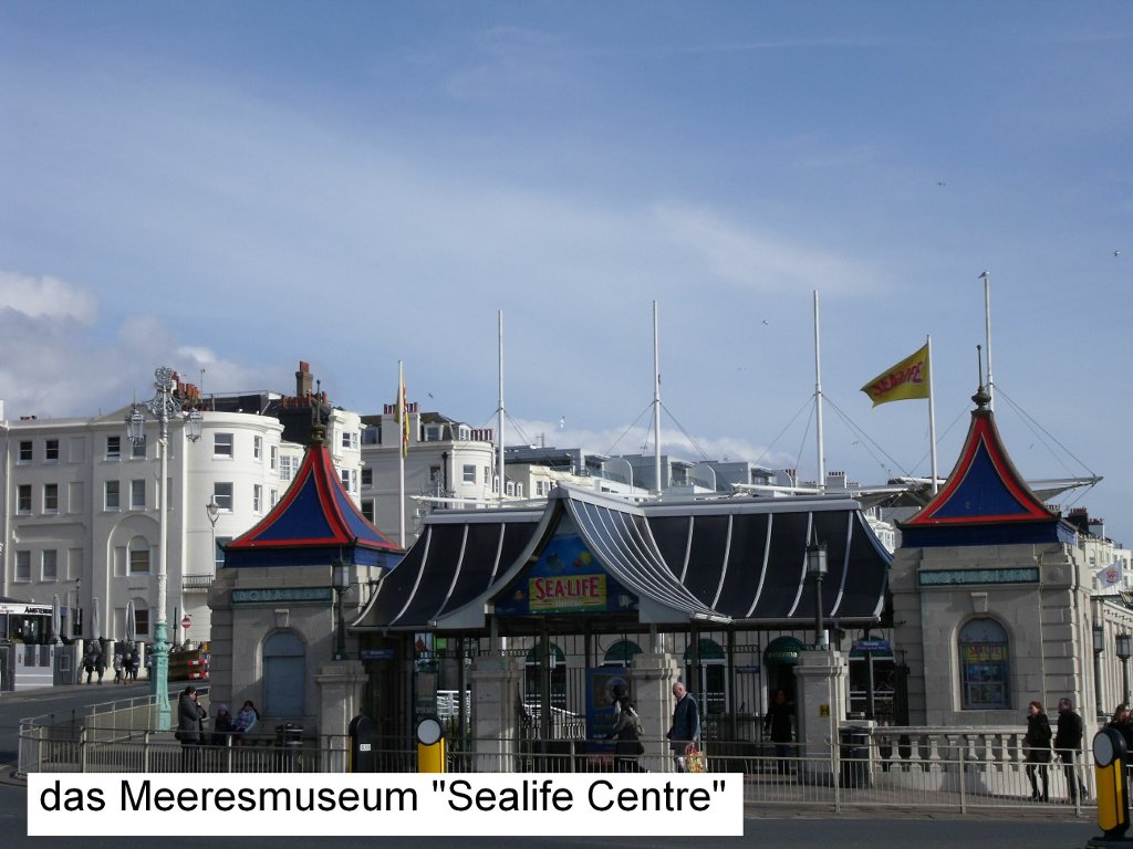 11_Sealife_Centre