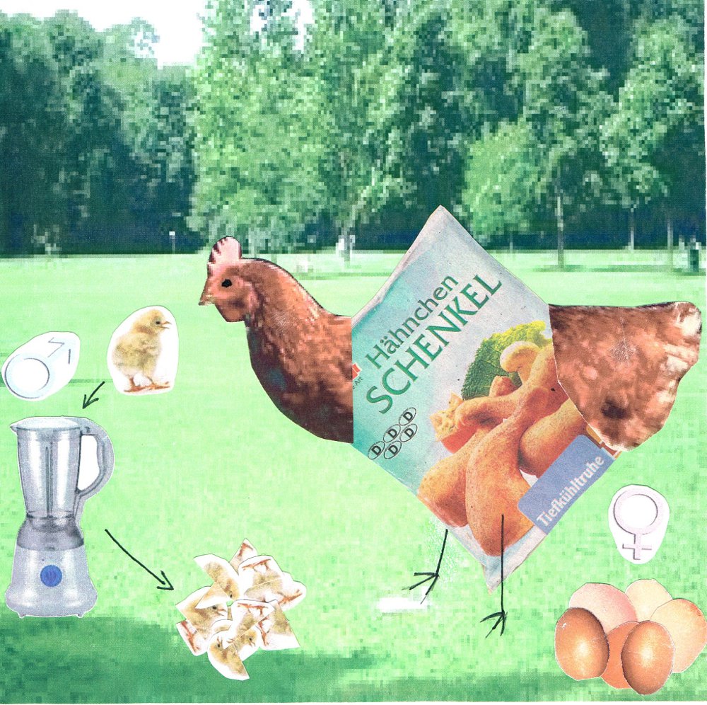 Collage_Anastasia_Hrtel