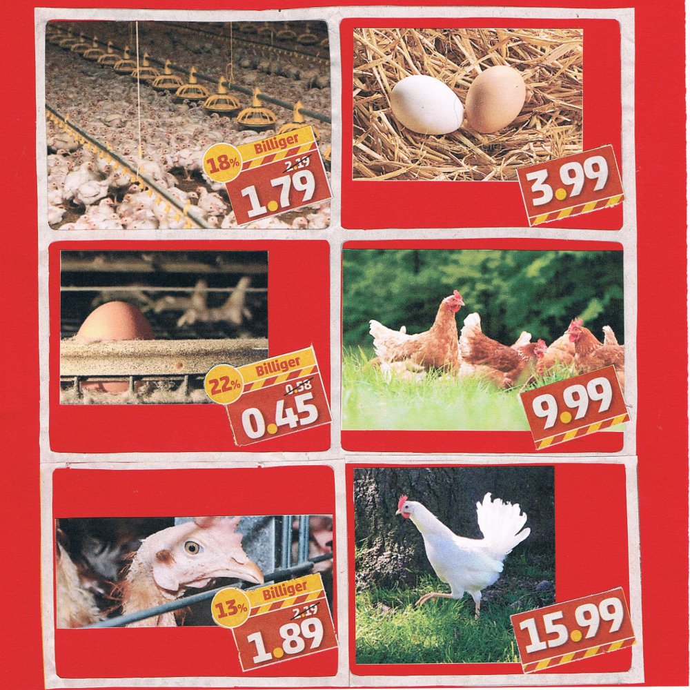 Collage_Charlotte_Klose