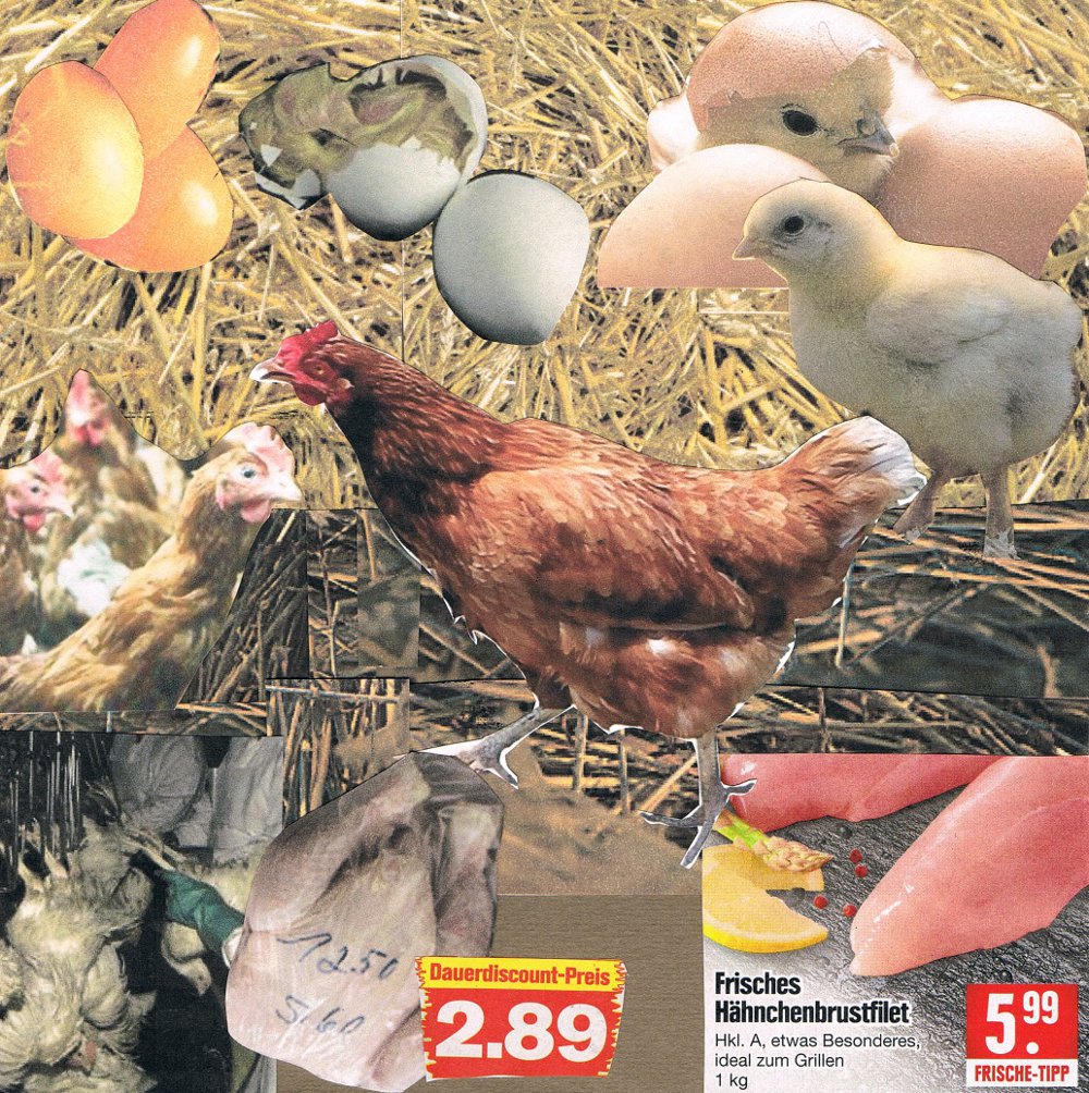 Collage_Fiona_Bernkopf