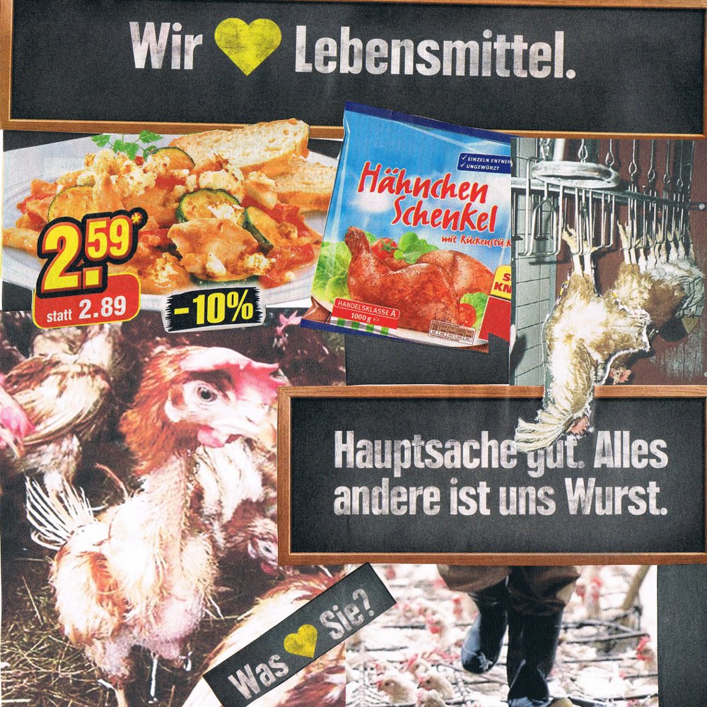 Collage_Nicole_Texter