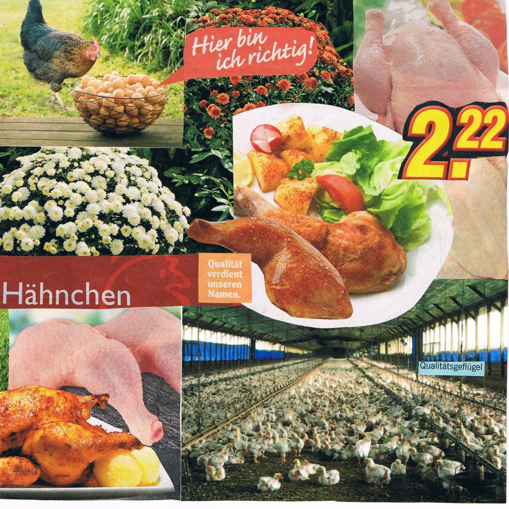 Collage_Patricia_Mller