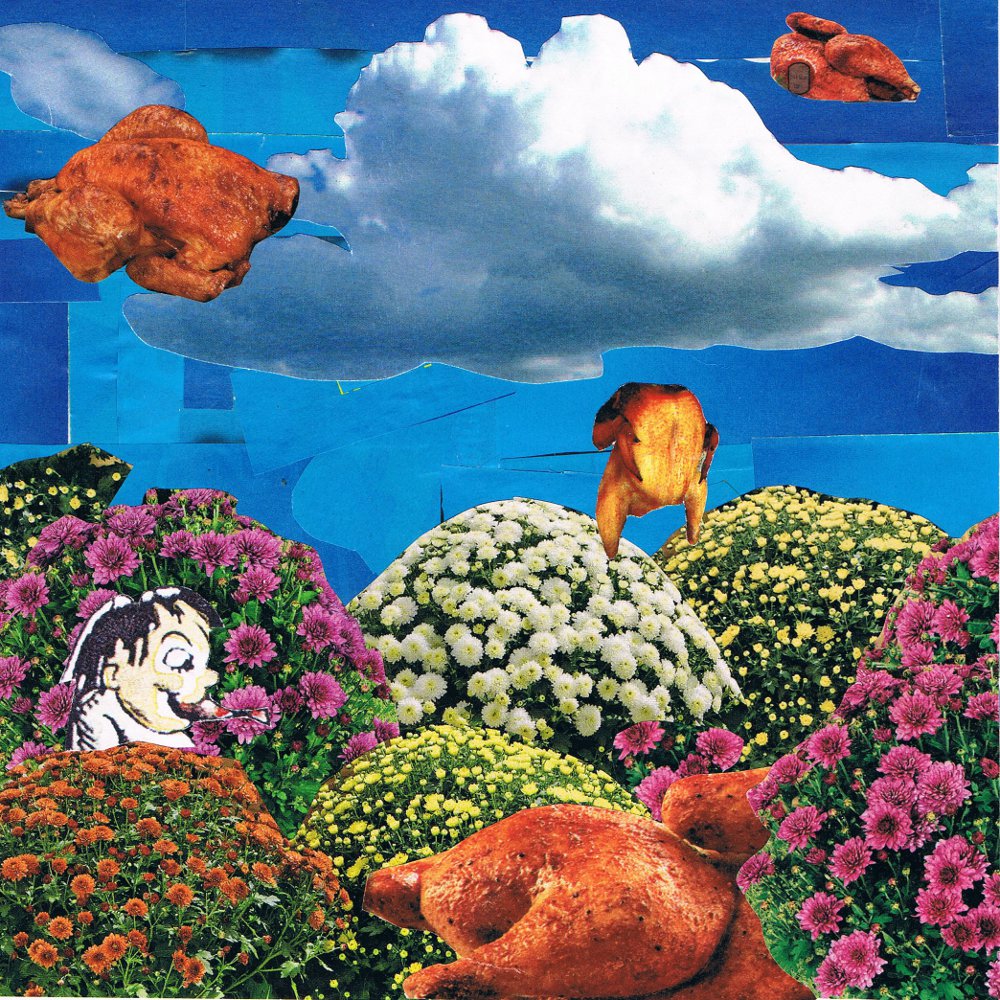 Collage_Ricarda_Schwarzbach