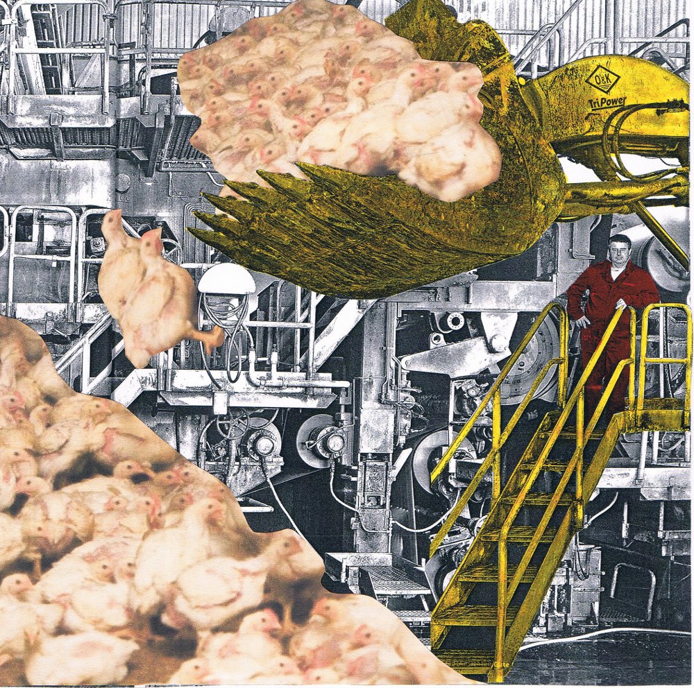 Collage_Sabine_Schaal