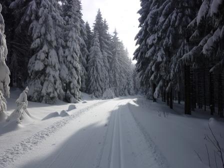 winterwald