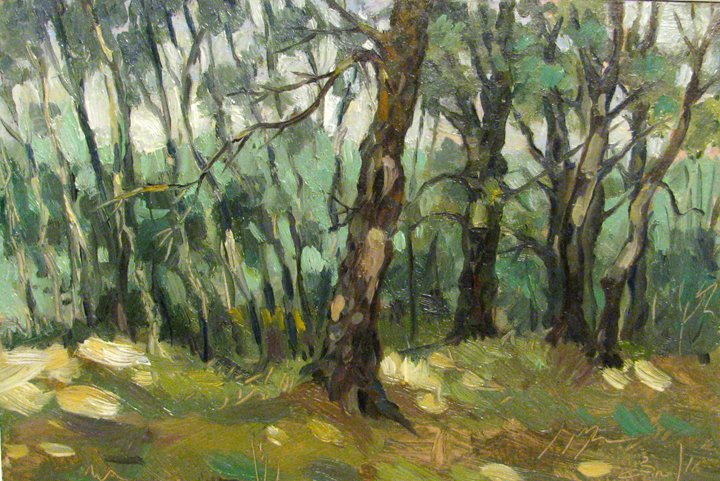 s omelchenko im Wald