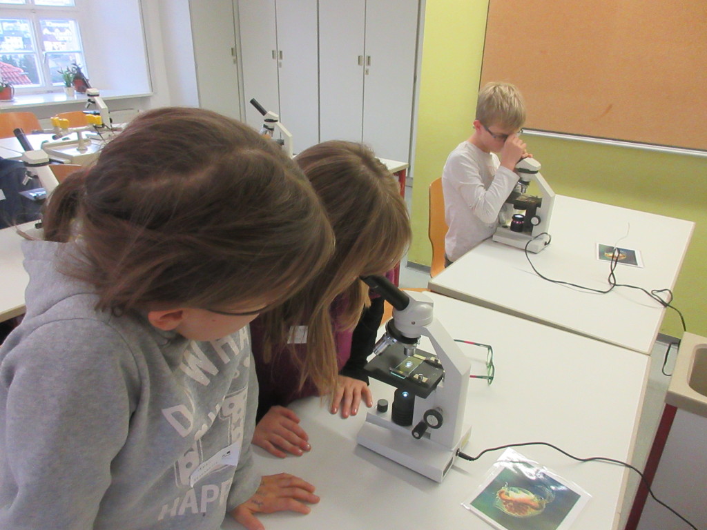 Schnuppertag für Viertklässler auf Schloss Planitz