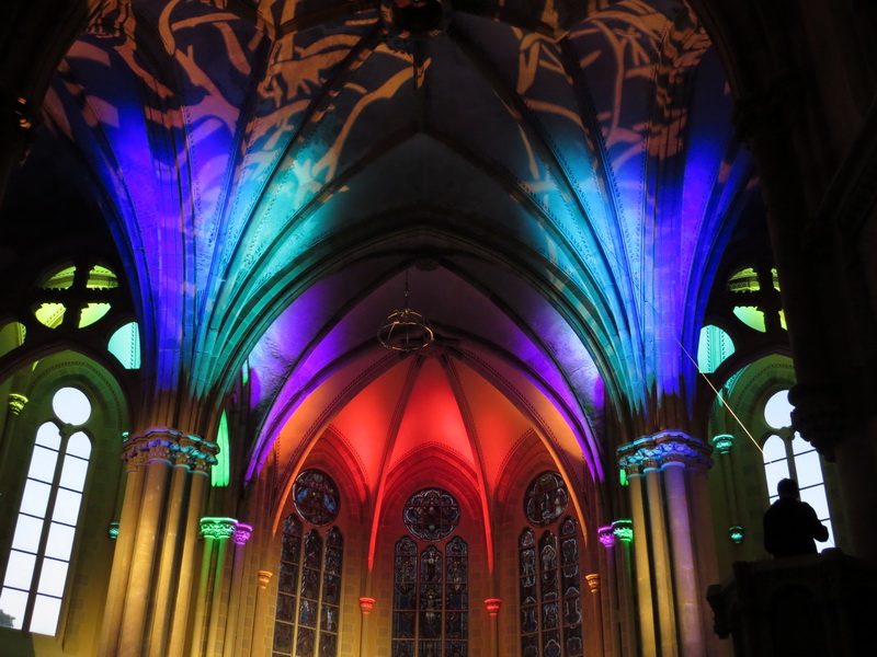 Warum kleiden sich die Bäume aus?