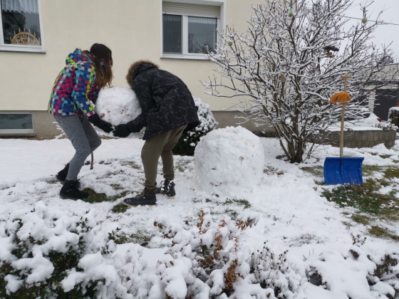 IMG 20210103 WA00081