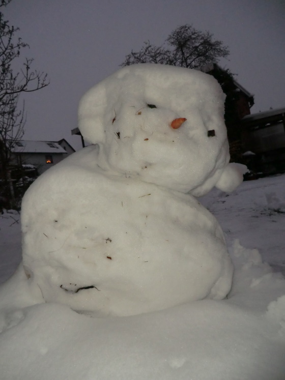 Lilly Pfeifer Schneemann