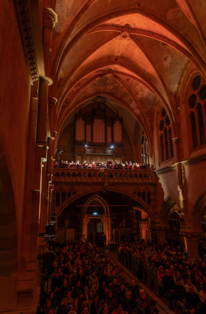 IMG 0985 CR3 DxO DeepPRIMEXD