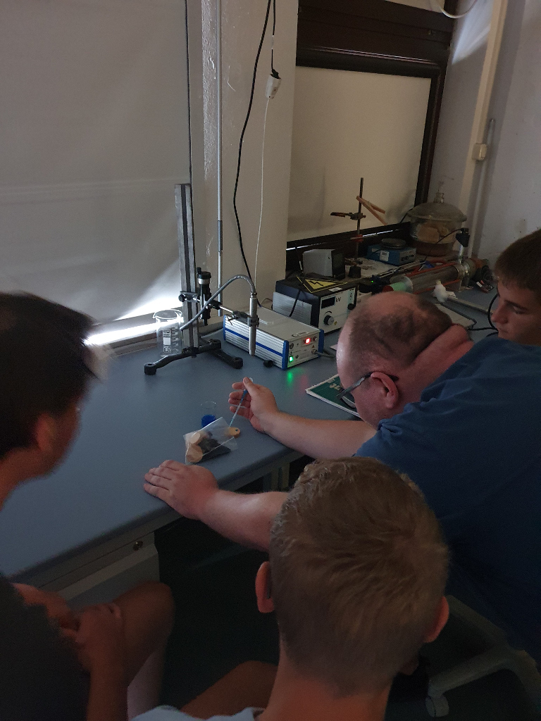 Bionik und Tarnung als Projekte der 10. Klasse