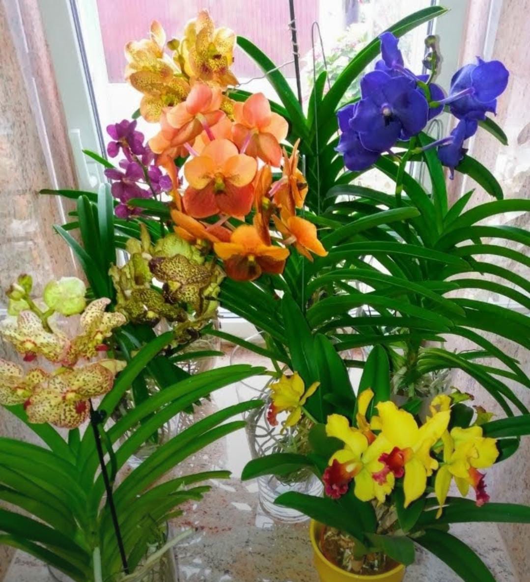 IMG 20241113 WA0014