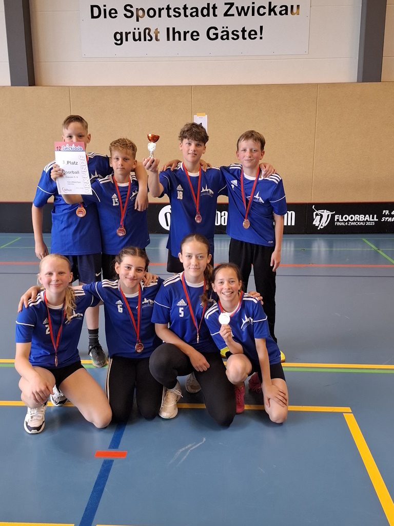 Silber und Bronze bei der Zwickiade im Floorball