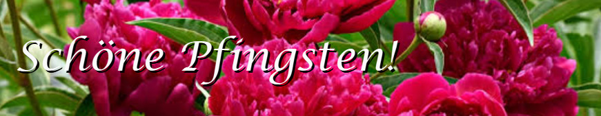 Schöne Pfingsten